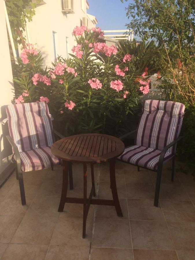 Andromeda Beach House Polis المظهر الخارجي الصورة